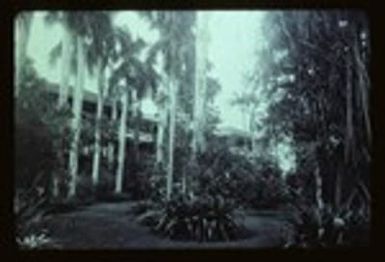 YWCA Honolulu, The Residence, Fernhurst, exterior, grounds