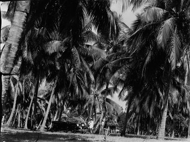 [Man and woman with car in Pacific Island location]