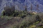 Ridge top village and food gardens, Eastern Highlands, Jan 1964