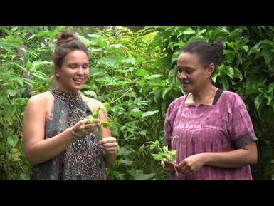 Les tiges de citrouille - Les feuilles comestibles du Pacifique