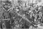 Pig festival, uprooting cordyline ritual: man holds bespelled stakes wrapped in banana leaves, to be planted at clan boundary