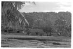 Standing in Sapa'ata looking at Piu