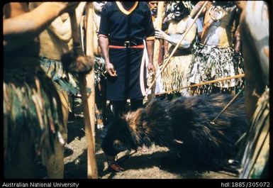 Muruk hunt, Goroka Show