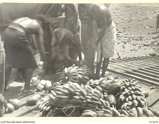 WIDERU, NEW GUINEA. 1944-05-12. NATIVES LOAD A BARGE WITH PRODUCE FROM NATIVE GARDENS. THE BARGE CHARTERED FROM LAE BY THE AUSTRALIAN ARMY SERVICE CORPS, TRANSPORTS FRUIT AND VEGETABLES WEEKLY TO ..
