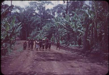 On the road near Nondugl, the children are waiting : Wahgi Valley, Papua New Guinea, 1954 and 1955 / Terence and Margaret Spencer
