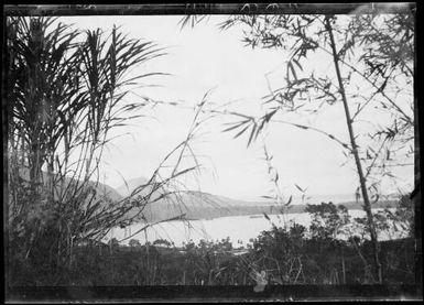 Rabaul Harbour, from "on top" through bamboo, Rabaul, New Guinea, ca. 1929, 2 / Sarah Chinnery