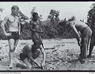 SALAMAUA, NEW GUINEA. 1944-06-01. MEMBERS OF 2ND MARINE FOOD SUPPLY PLATOON CLEANING FRESHLY CAUGHT FISH ON THE BEACH AT SALUS LAKE SO AS TO PREVENT THE FISH FROM BEING AFFECTED BY THE SUN. LEFT TO ..