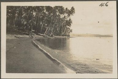 Canoes on beach at Tilili Bay, New Britain Island, Papua New Guinea, approximately 1916