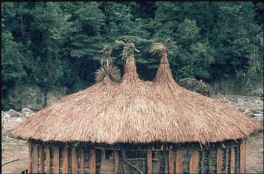 Goroka houses : Wahgi Valley, Papua New Guinea, 1970 / Terence and Margaret Spencer