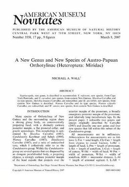 A new genus and new species of Austro-Papuan Orthotylinae (Heteroptera, Miridae)
