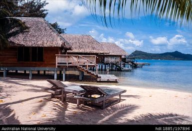 French Polynesia - Fish