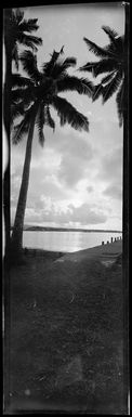 View near Apia, Samoa, showing a punt with water beyond, and palm trees