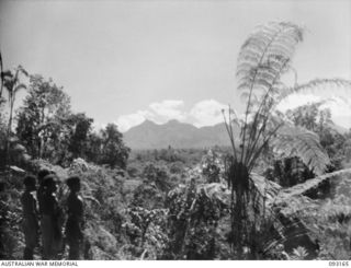 MOROKAIMORO, BOUGAINVILLE, 1945-06-12. THE SCENIC VIEW LOOKING NORTH EAST, SHOWING THE SOUTHERN END OF THE CROWN PRINCE RANGE IN THE BACKGROUND. TROOPS OF 2/8 COMMANDO SQUADRON, OPERATE FROM THIS ..