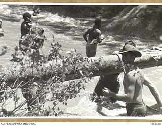 FARIA RIVER, NEW GUINEA. 1944-01-20. ENGINEERS OF 2/4TH FIELD COMPANY ROYAL AUSTRALIAN ENGINEERS AND D COMPANY, 2/9TH INFANTRY BATTALION, BUILDING A LOG BRIDGE OVER THE FARIA RIVER TO FACILITATE ..
