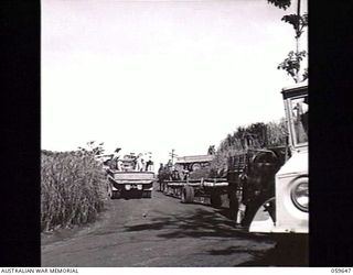 DONADABU, NEW GUINEA. 1943-11-07. A TRAFFIC JAM ON THE NARROW SECTION OF THE ROUNA FALLS ROAD NEAR THE FALLS