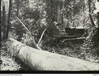 NADZAB, NEW GUINEA. C. 1944-02. A TRACTOR DRIVEN BY LEADING AIRCRAFTMAN B. L. WALKER OF DANDENONG, VIC, HAULS LOGS THROUGH THE JUNGLE TO SAWMILLS WHERE PERSONNEL OF NO. 62 MOBILE WORKS SQUADRON ..