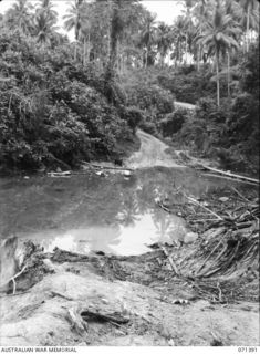 BUMI FORD, FINSCHHAFEN AREA, NEW GUINEA, 1944-03-20. D COMPANY, 2/15TH INFANTRY BATTALION CROSSED THE RIVER UNDER FIRE 300 YARDS UPSTREAM FROM THIS POINT AND THEN CAPTURED DOMINATING GROUND ..