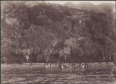 Crowd at the landing place at Leha, Ureparapara, Banks Islands, 1906 / J.W. Beattie