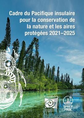 Cadre du Pacifique insulaire 2021-2025 pour la conservation de la nature et les aires protégées