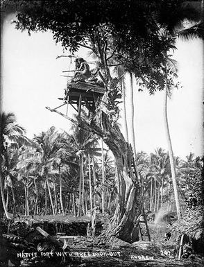 Native Fort with tree lookout