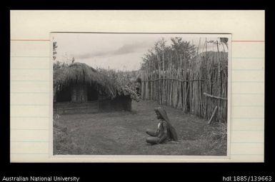 Cassowary houses, Dend