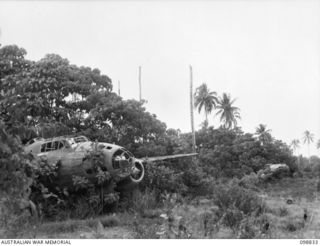 BALLALAE ISLAND, BOUGAINVILLE AREA. 1945-11-10. GRAPHIC EVIDENCE OF THE ACCURACY OF ALLIED BOMBING IS SHOWN BY THE WRECKAGE OF JAPANESE BOMBERS WHICH ARE NOW NEARLY OBSCURED BY UNDERGROWTH. THE ..