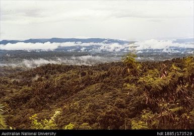 Views from Vunakokor towards Baining mountains