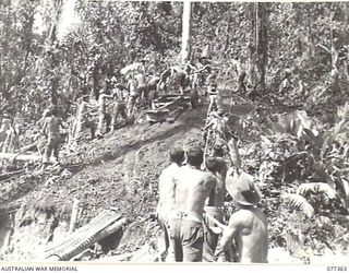 BOUGAINVILLE ISLAND. 1944-12-01. GUNNERS OF NO. 12 BATTERY, 4TH FIELD REGIMENT MANDHANDLING THEIR 25 POUNDER GUNS INTO POSITION ON BENCHES CUT OUT OF THE SIDE OF A HILL ON THE RIGHT BANK OF THE ..