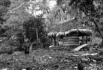 Fagaloa Bay. Old man and house, Ma'asina village