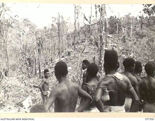 TOROKINA AREA, BOUGAINVILLE ISLAND. 1944-11-30. NATIVE CARRIERS WORKING ALONG THE SUPPLY LINE FROM BATTALION HEADQUARTERS IN THE UPPER LARUMA VALLEY EAGERLY LOOKING AT THE JAPANESE POSITIONS WHICH ..