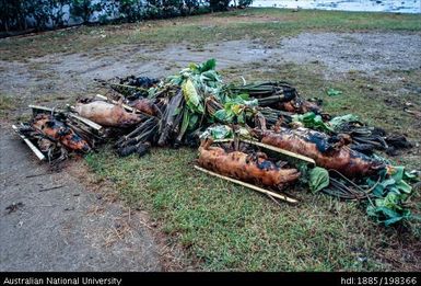 Wallis and Futuna - roasted pigs