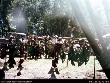 People gathered around vehicle