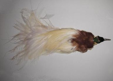 Birdskin
