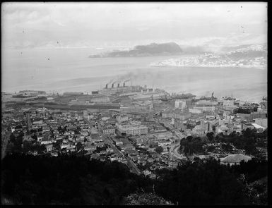 Overlooking Thorndon, Wellington