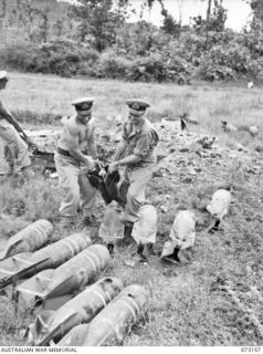 ALEXISHAFEN, NEW GUINEA. 1944-05-11. MEMBERS OF A RMSU (RENDERING MINES SAFE UNIT) RAN, HAULING JAPANESE 100 KILOGRAM AERIAL BOMBS AT ALEXISHAFEN NO. 1 AIRSTRIP. THE BOMBS, SET TO BE FIRED WITH A ..