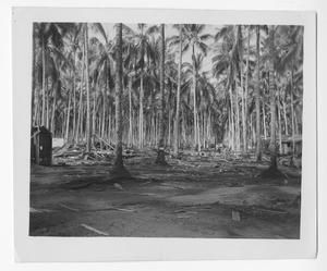 [Shelled Area on Guadalcanal]