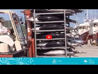 COASTAL FISHERIES TRAINING | 2.4 - On board tuna loining and freezing