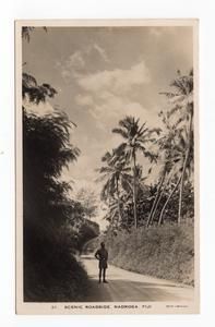 Scenic Roadside, Nadroga, Fiji