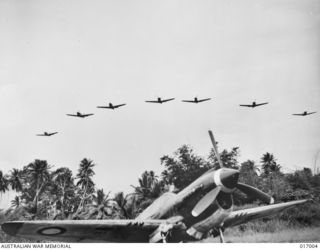 1944-04-26. NEW GUINEA. KITTYHAWK AIRCRAFT SKIMMING THE PALM TREES ON EXERCISE FORMATION FLYING
