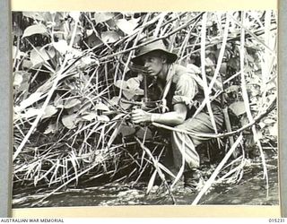 Wau-Mubo Area. A member of a patrol along the Mubo track, VX106307 Sergeant Thomas Stanley Burton, 24th Battalion, of Mitcham, Vic, wades through a creek. (Negative by G Short)