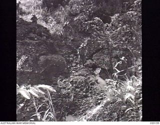 LALOKI VALLEY, NEW GUINEA. 1943-11-05. A PATROL OF THE NEW GUINEA FORCE TRAINING SCHOOL (JUNGLE WING) PASSING OVER A ROCKY SECTION NEAR THE ROUNA FALLS