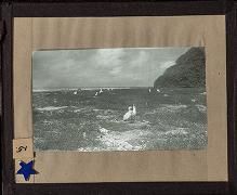 Photographs, negatives, and glass plate negatives concerning the Navy Surveying Expedition to the Phoenix and Samoan Islands, 1939