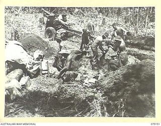 TSIMBA AREA, BOUGAINVILLE ISLAND. 1945-02-17. NO.1 GUNCREW, E TROOP, NO. 12 BATTERY, 4TH FIELD REGIMENT DIGGING IN ON THEIR NEW POSITION ON TSIMBA RIDGE