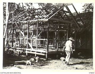 LAE, NEW GUINEA. 1945-01-18. THE DRYING HUT OF THE PHOTOGRAPHIC LABORATORY OF THE 2ND MILITARY HISTORY FIELD TEAM ATTACHED TO THE FIRST AUSTRALIAN ARMY NEARING COMPLETION. THIS WORK IS BEING ..