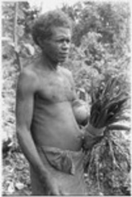 Geleniu with cordyline and coconut for ritual