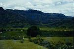 Eastern Highlands, 1957