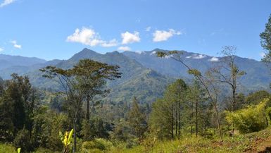 Fears traditional owners in PNG could lose land to developers