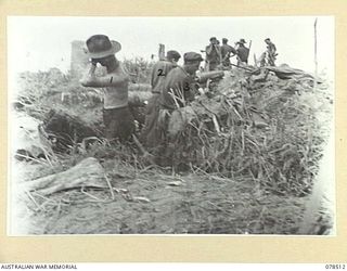 BOUGAINVILLE ISLAND, 1945-01-16. "A" COMPANY MORTAR CREW IN ACTION IN SUPPORT OF AN ATTACK BY MEMBERS OF THE 47TH INFANTRY BATTALION ON JAPANESE PILLBOXES WHICH WERE HOLDING UP THE ADVANCE TO ..
