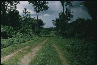 Wewak-Maprik road (1) : Wewak-Maprik, Papua New Guinea,1959 / Terence and Margaret Spencer