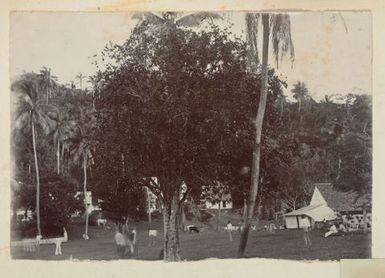 Men playing and watching cricket. From the album: Cook Islands